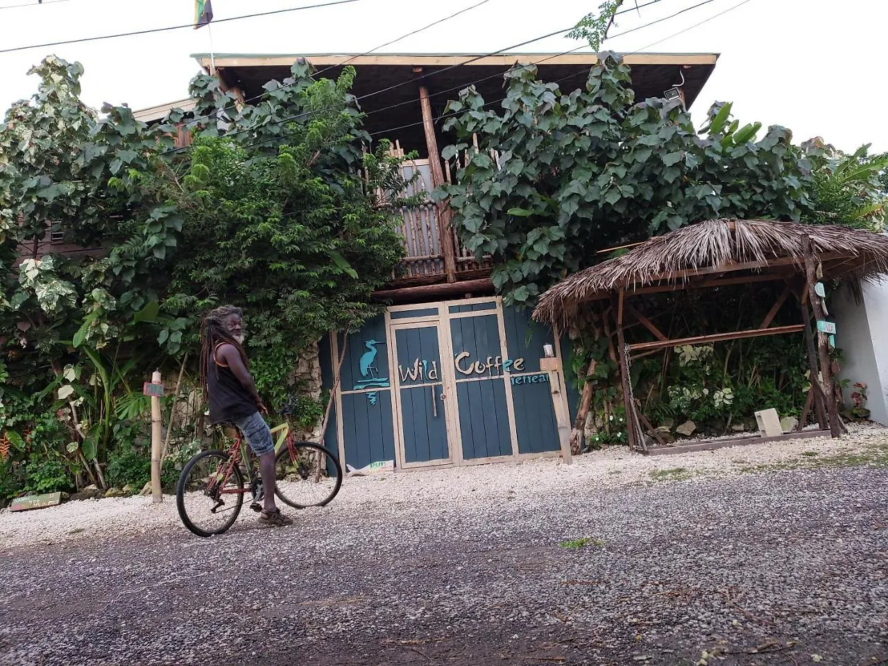 Wild Coffee Retreat Hotel Negril